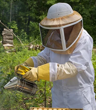 Beekeeping gloves & suits