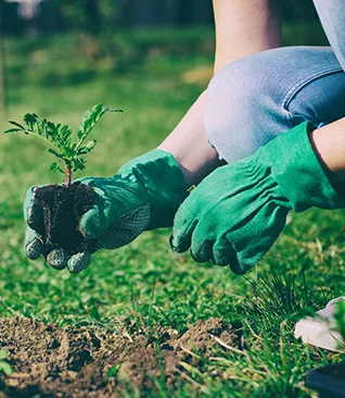 Gardening gloves